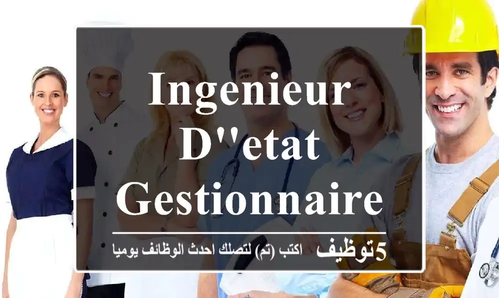 INGENIEUR D'ETAT - GESTIONNAIRE DE PROJET