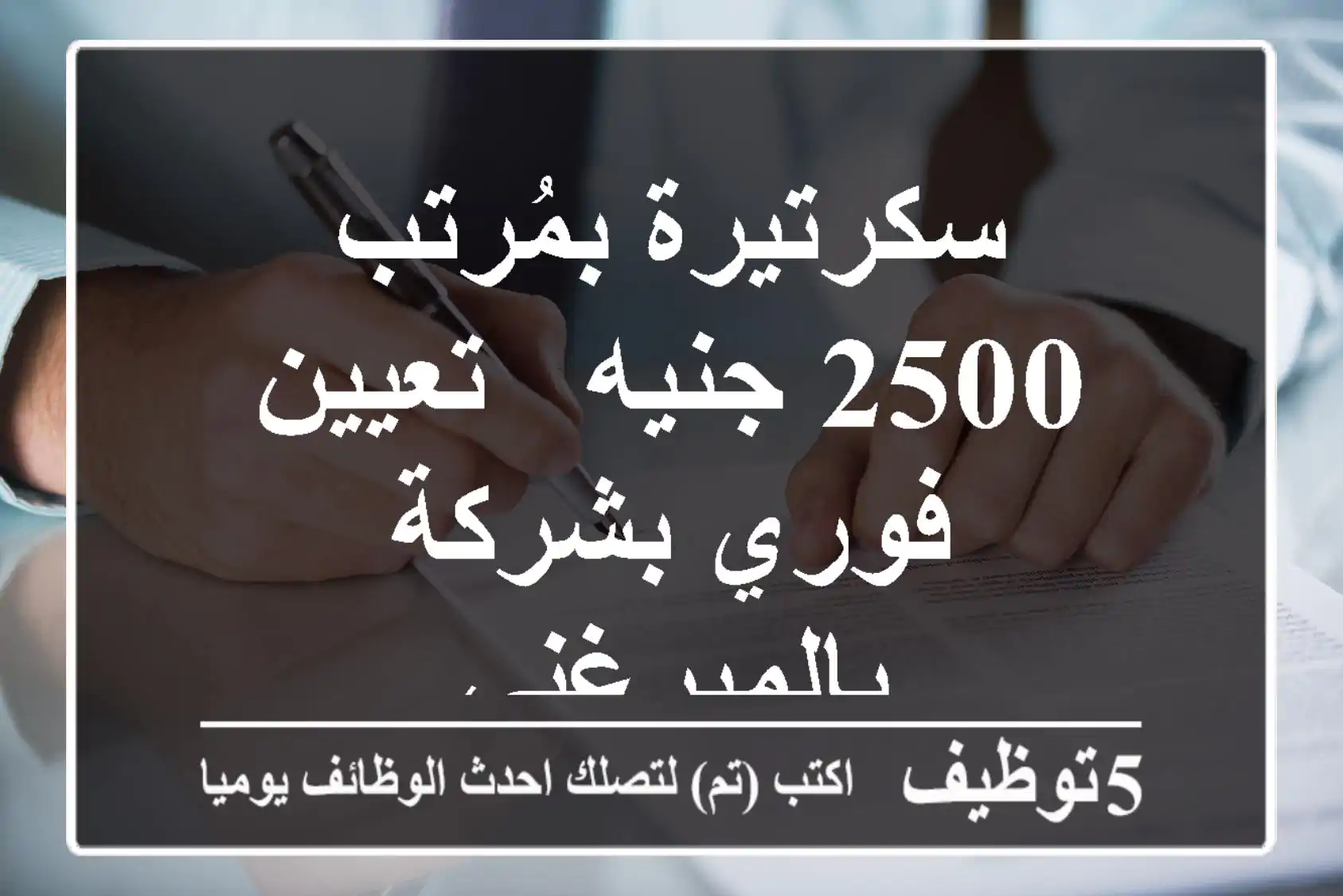 سكرتيرة بمُرتب 2500 جنيه - تعيين فوري بشركة بالميرغني