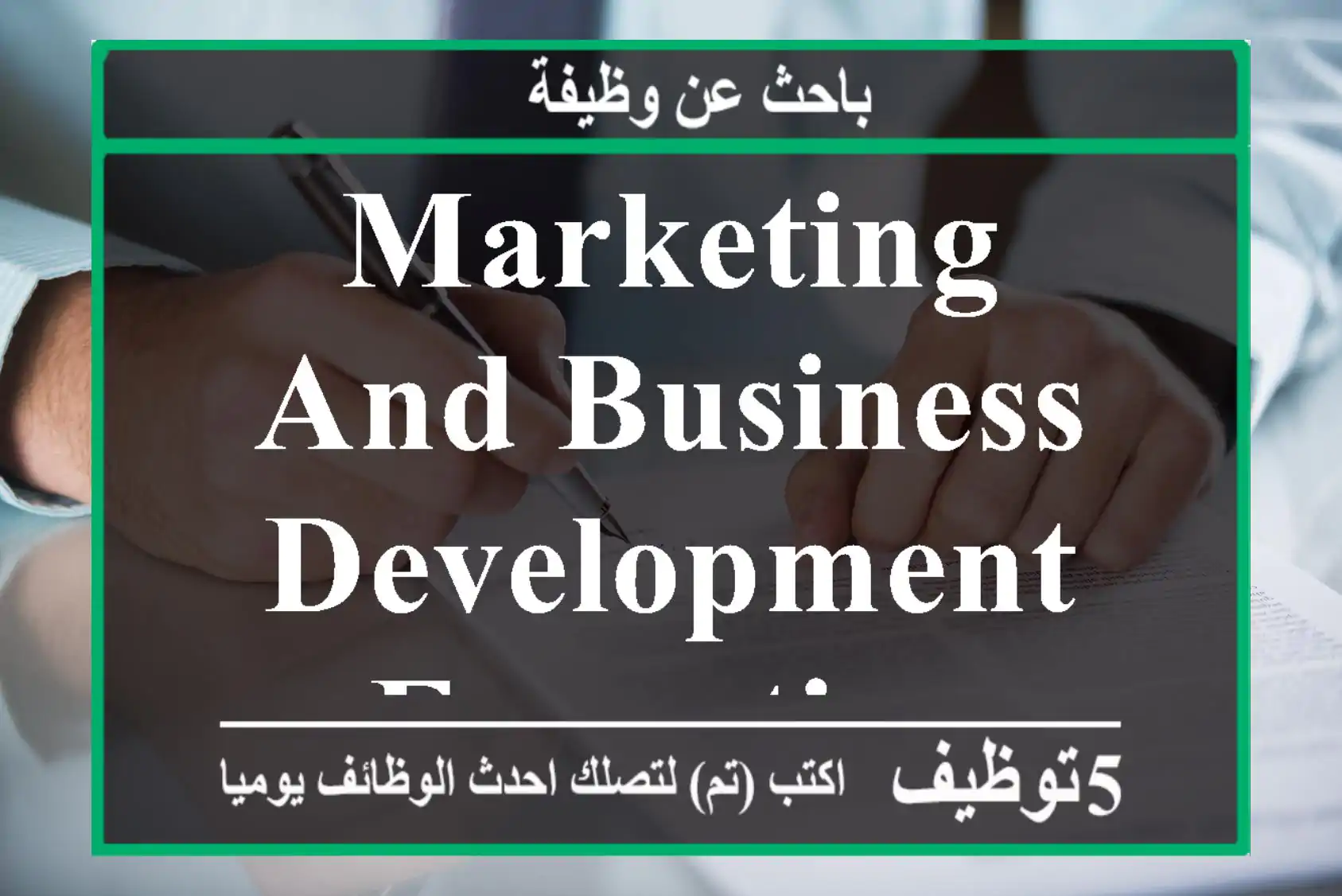 Marketing and Business Development Executive