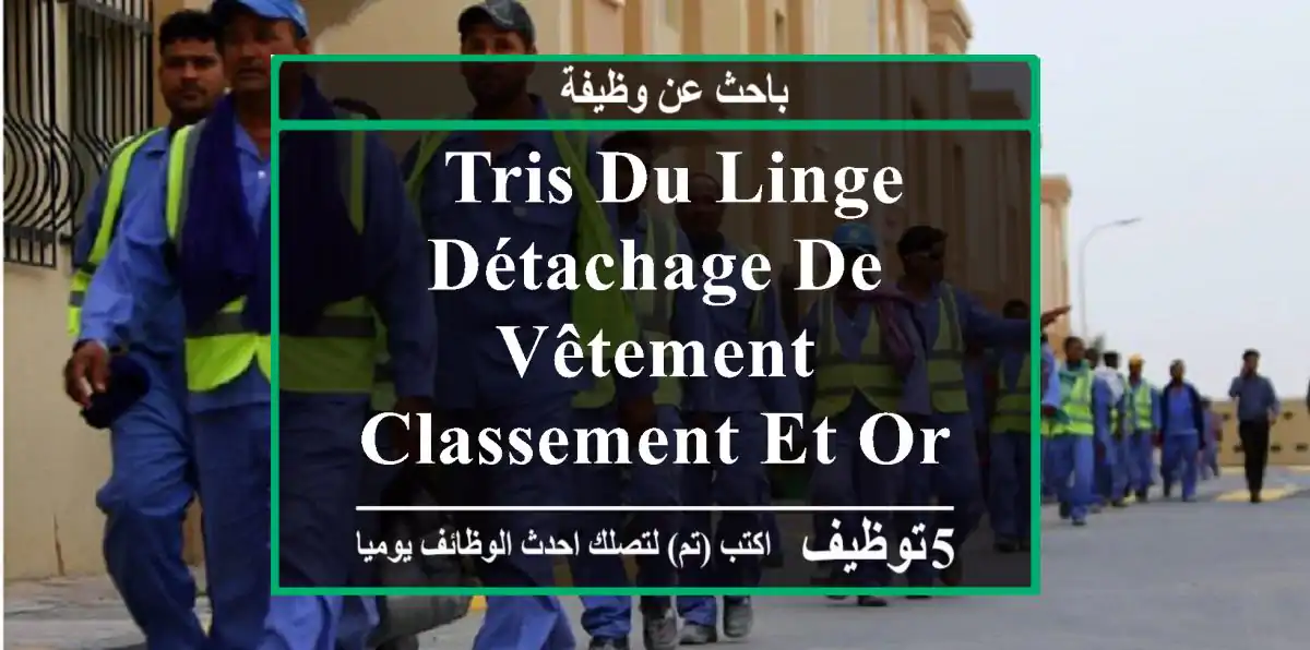 - tris du linge - détachage de vêtement - classement et organisation des articles - lieux ...