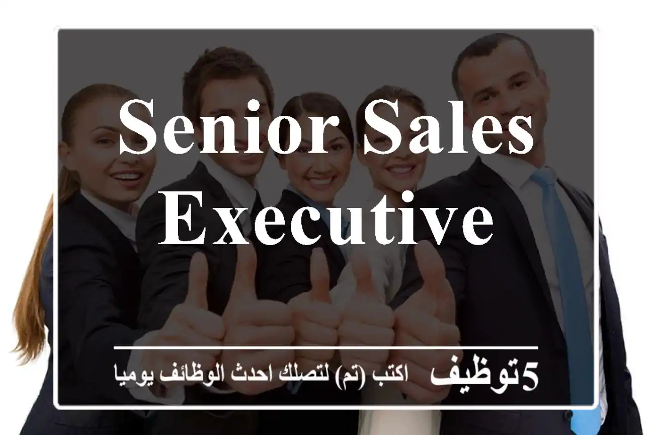 SENIOR SALES EXECUTIVE