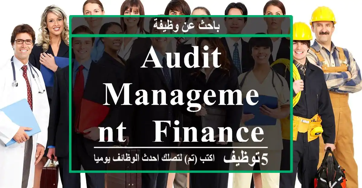 Audit -Management & Finance Value