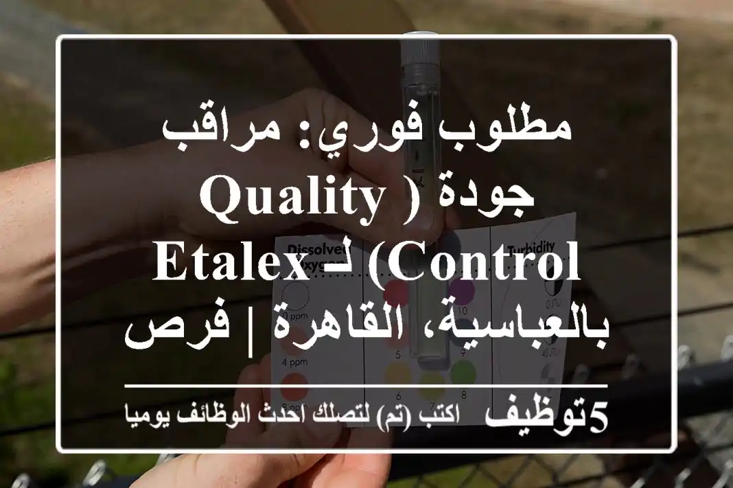 مطلوب فوري: مراقب جودة (Quality Control) لـ Etalex بالعباسية، القاهرة | فرص توظيف مميزة