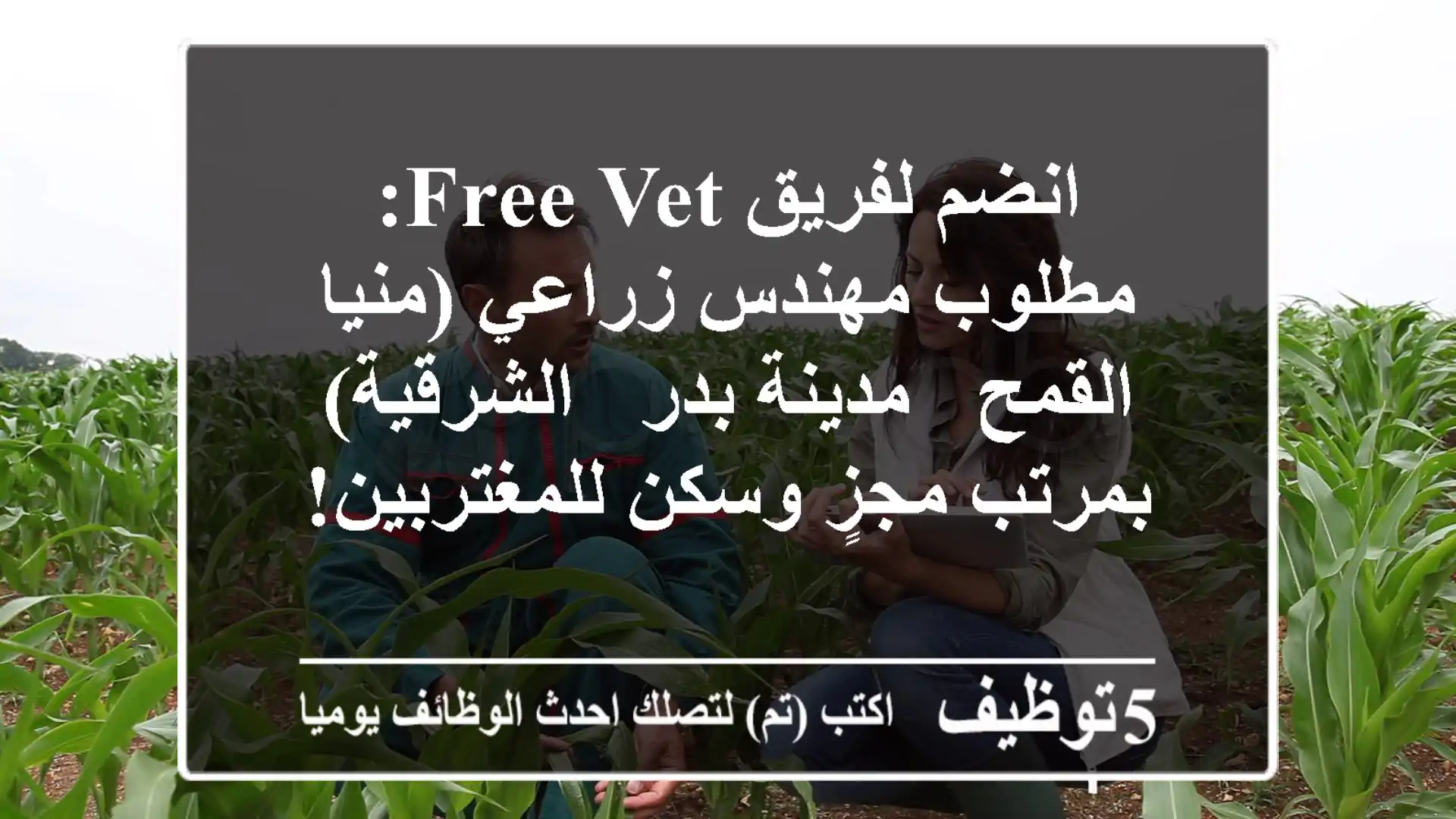 انضم لفريق Free Vet: مطلوب مهندس زراعي (منيا القمح / مدينة بدر / الشرقية) بمرتب مجزٍ وسكن للمغتربين!