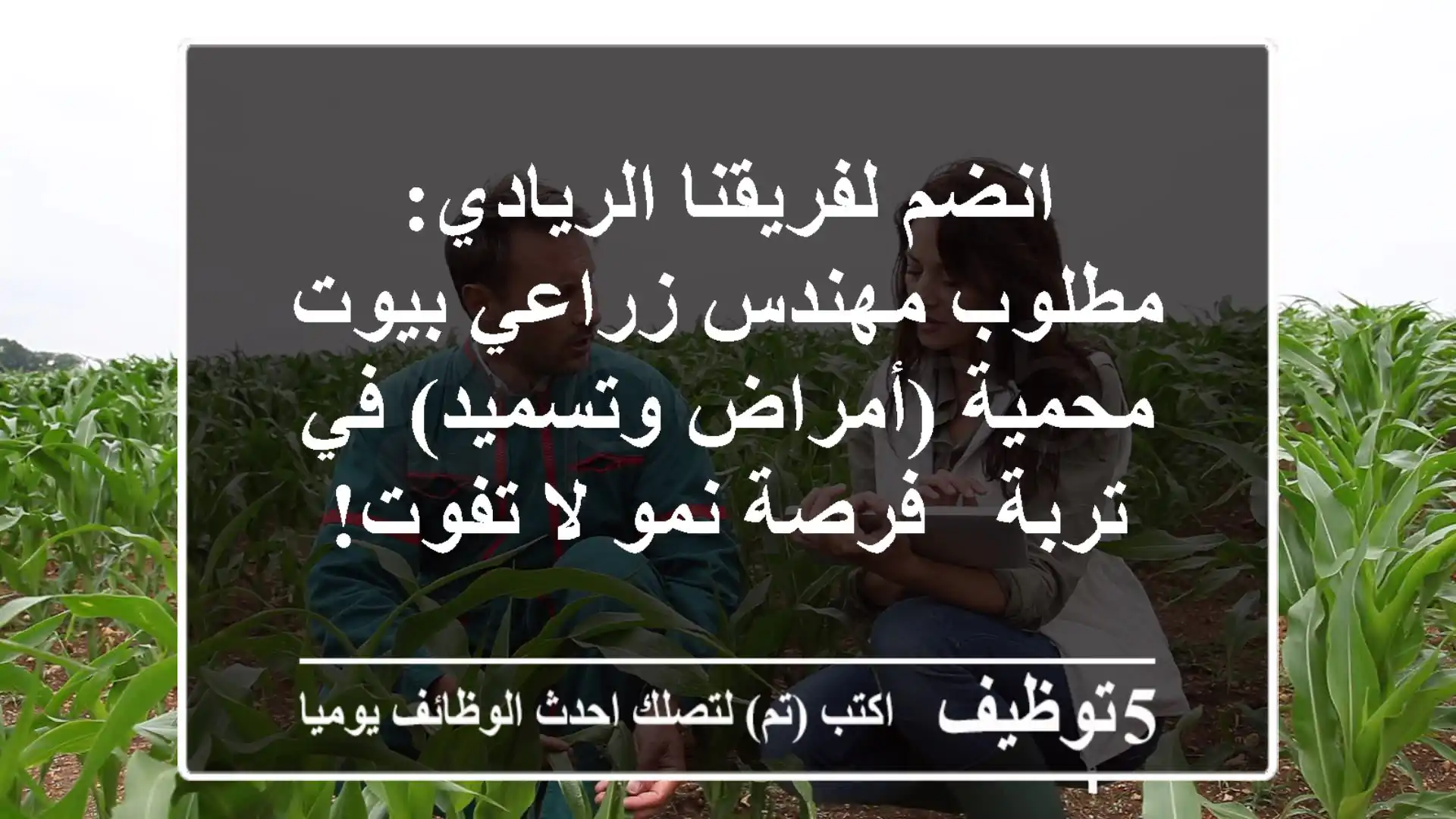 انضم لفريقنا الريادي: مطلوب مهندس زراعي بيوت محمية (أمراض وتسميد) في تربة - فرصة نمو لا تفوت!