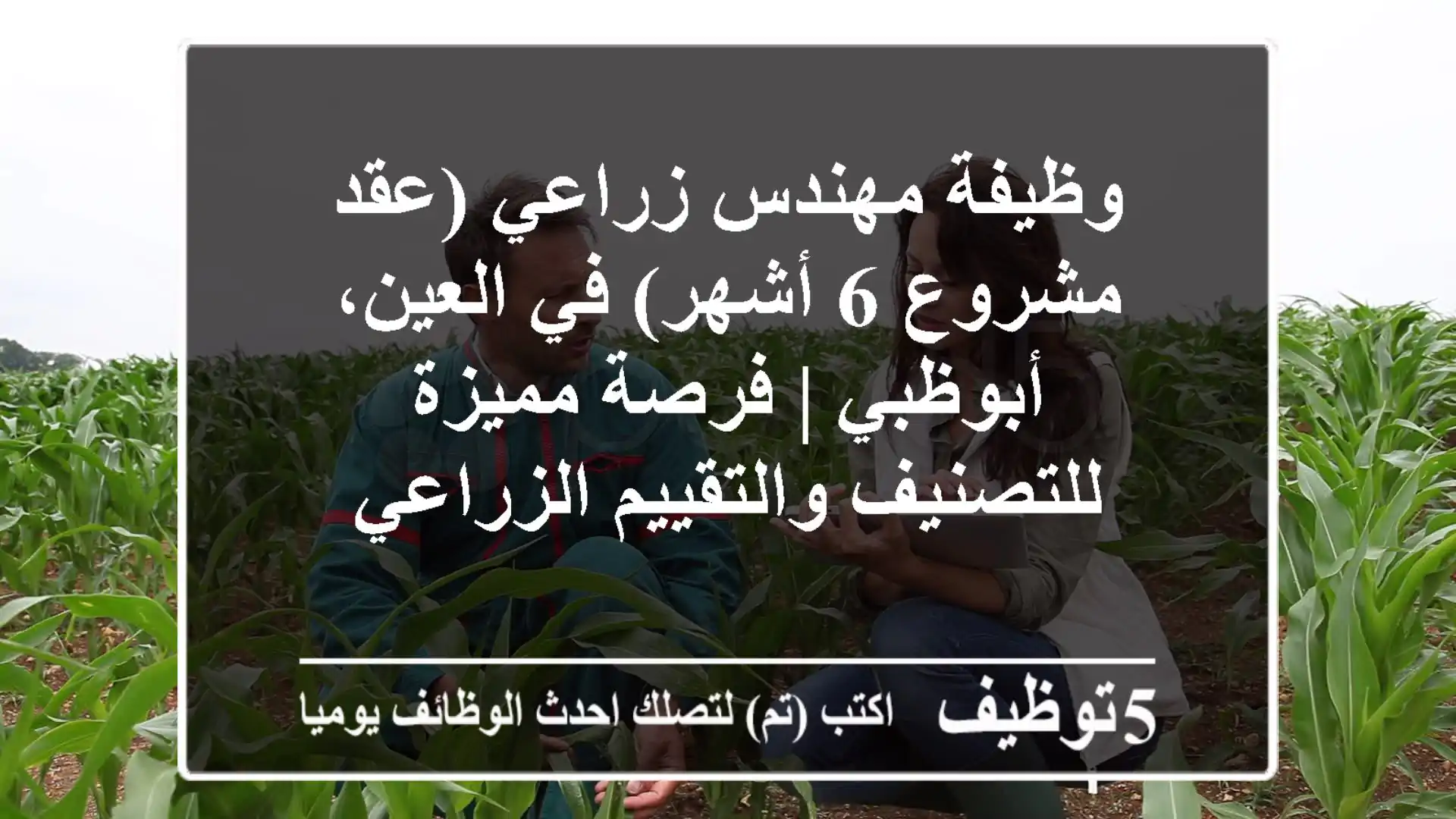 وظيفة مهندس زراعي (عقد مشروع 6 أشهر) في العين، أبوظبي | فرصة مميزة للتصنيف والتقييم الزراعي