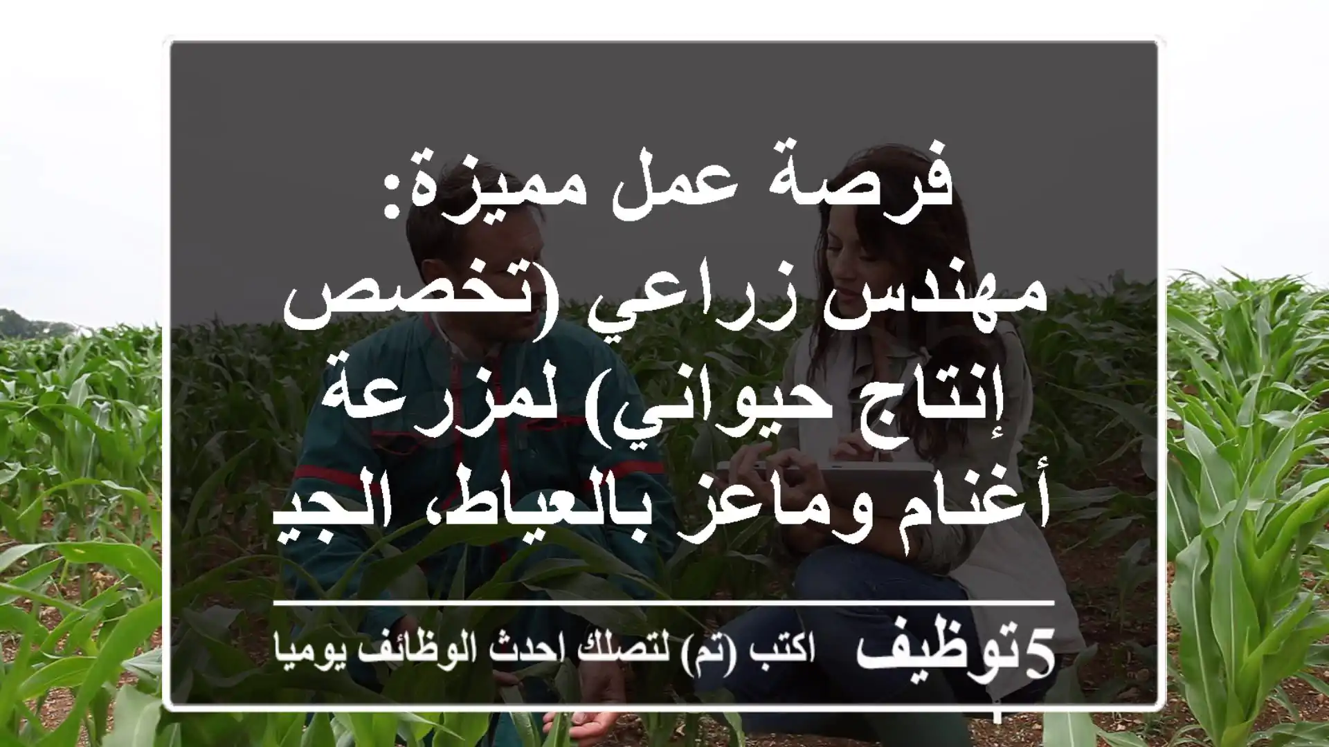 فرصة عمل مميزة: مهندس زراعي (تخصص إنتاج حيواني) لمزرعة أغنام وماعز بالعياط، الجيزة