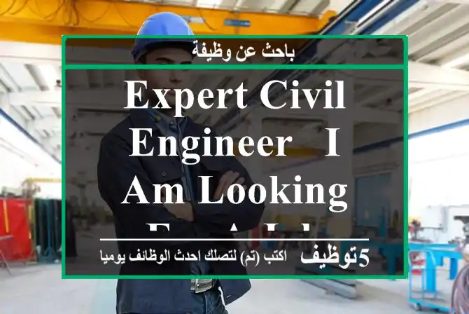 Expert Civil Engineer - I am looking for a Job
