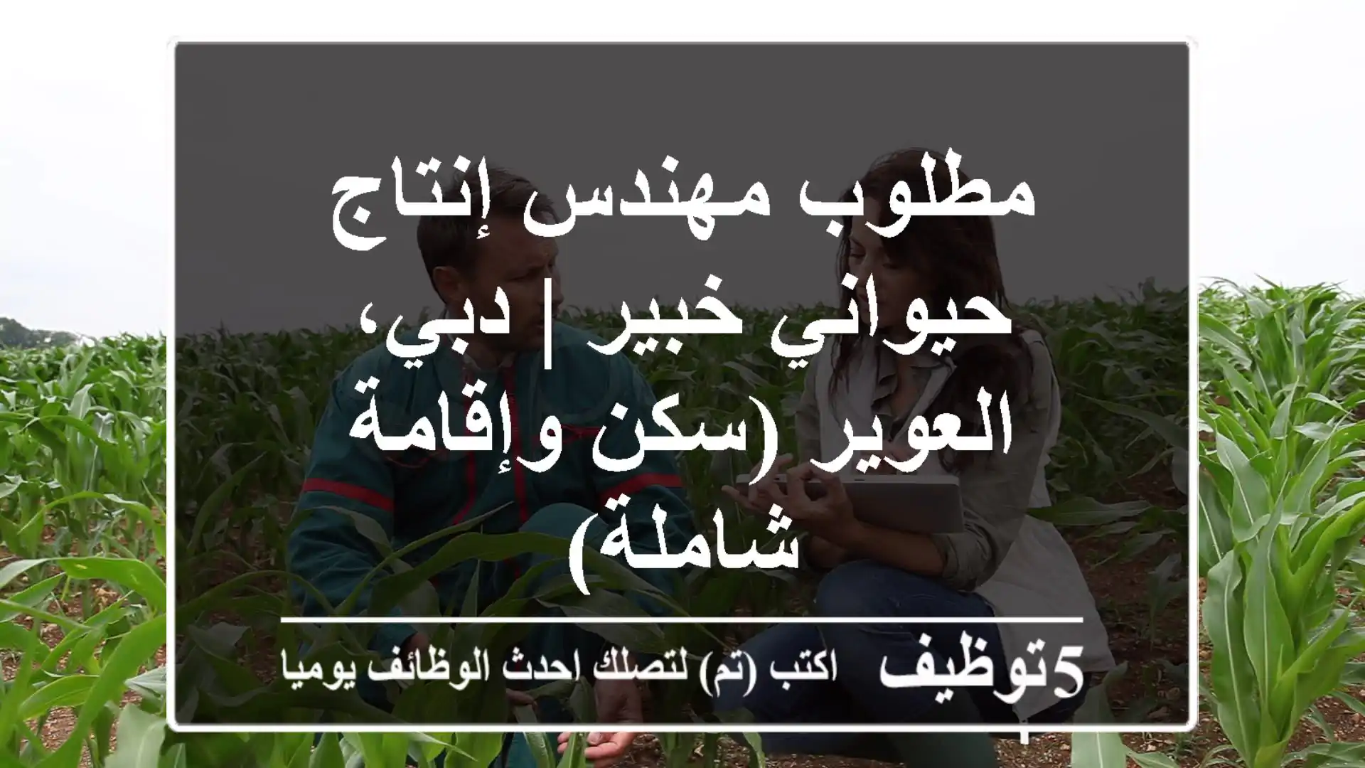 مطلوب مهندس إنتاج حيواني خبير | دبي، العوير (سكن وإقامة شاملة)