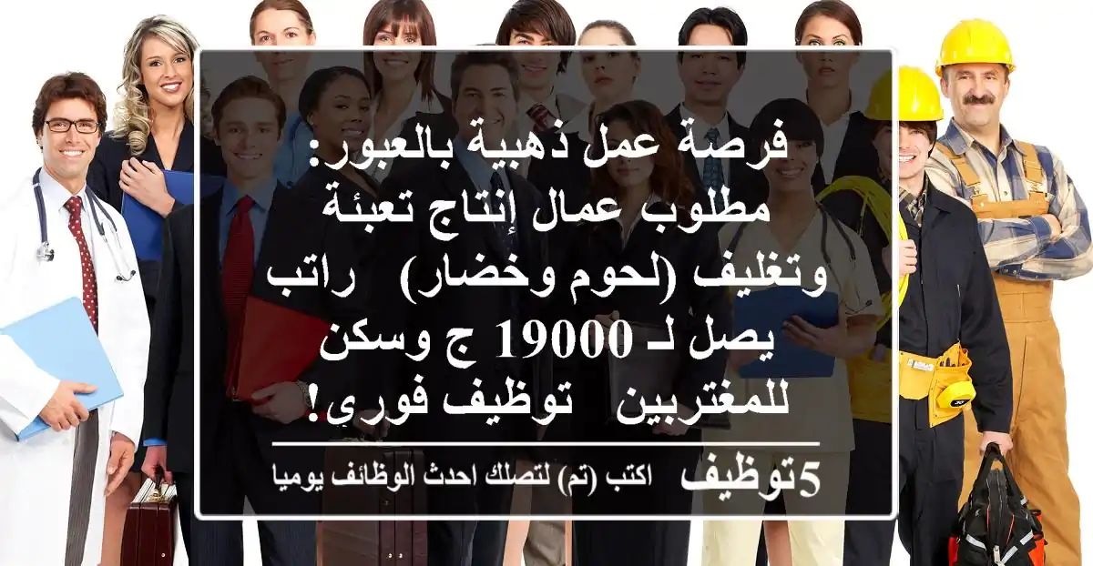 فرصة عمل ذهبية بالعبور: مطلوب عمال إنتاج تعبئة وتغليف (لحوم وخضار) - راتب يصل لـ 19000 ج وسكن للمغتربين - توظيف فوري!