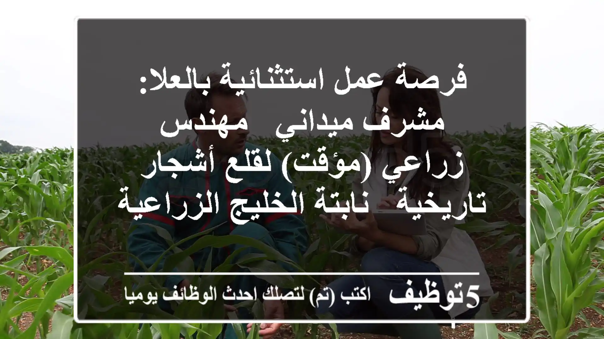 فرصة عمل استثنائية بالعلا: مشرف ميداني / مهندس زراعي (مؤقت) لقلع أشجار تاريخية - نابتة الخليج الزراعية