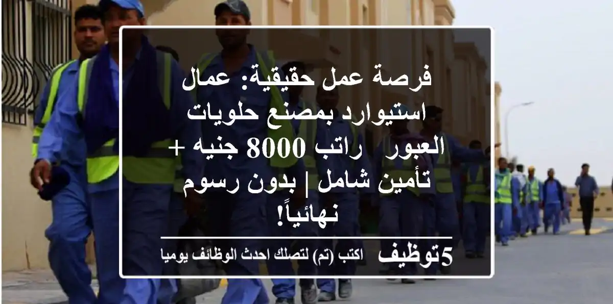 فرصة عمل حقيقية: عمال استيوارد بمصنع حلويات العبور - راتب 8000 جنيه + تأمين شامل | بدون رسوم نهائياً!