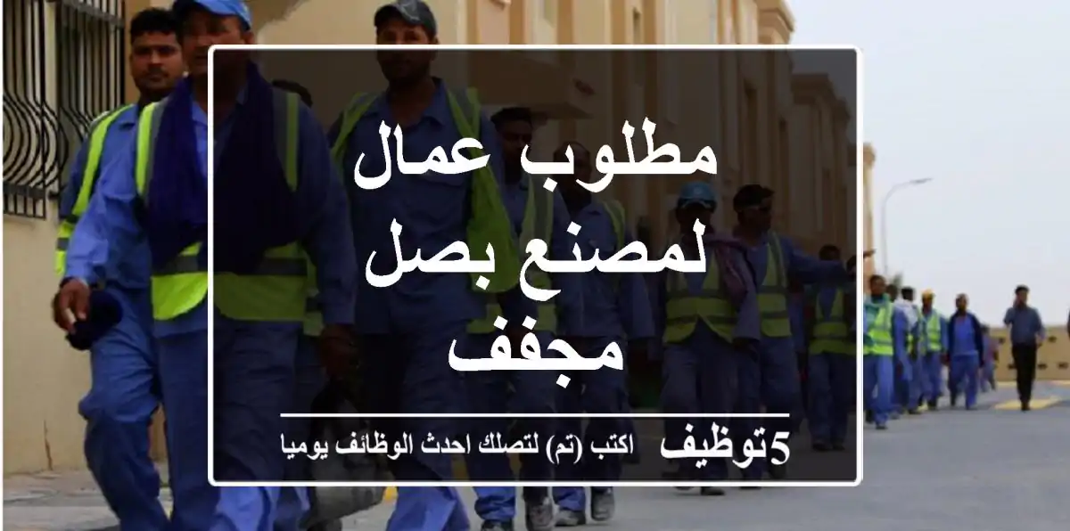 مطلوب عمال لمصنع بصل مجفف