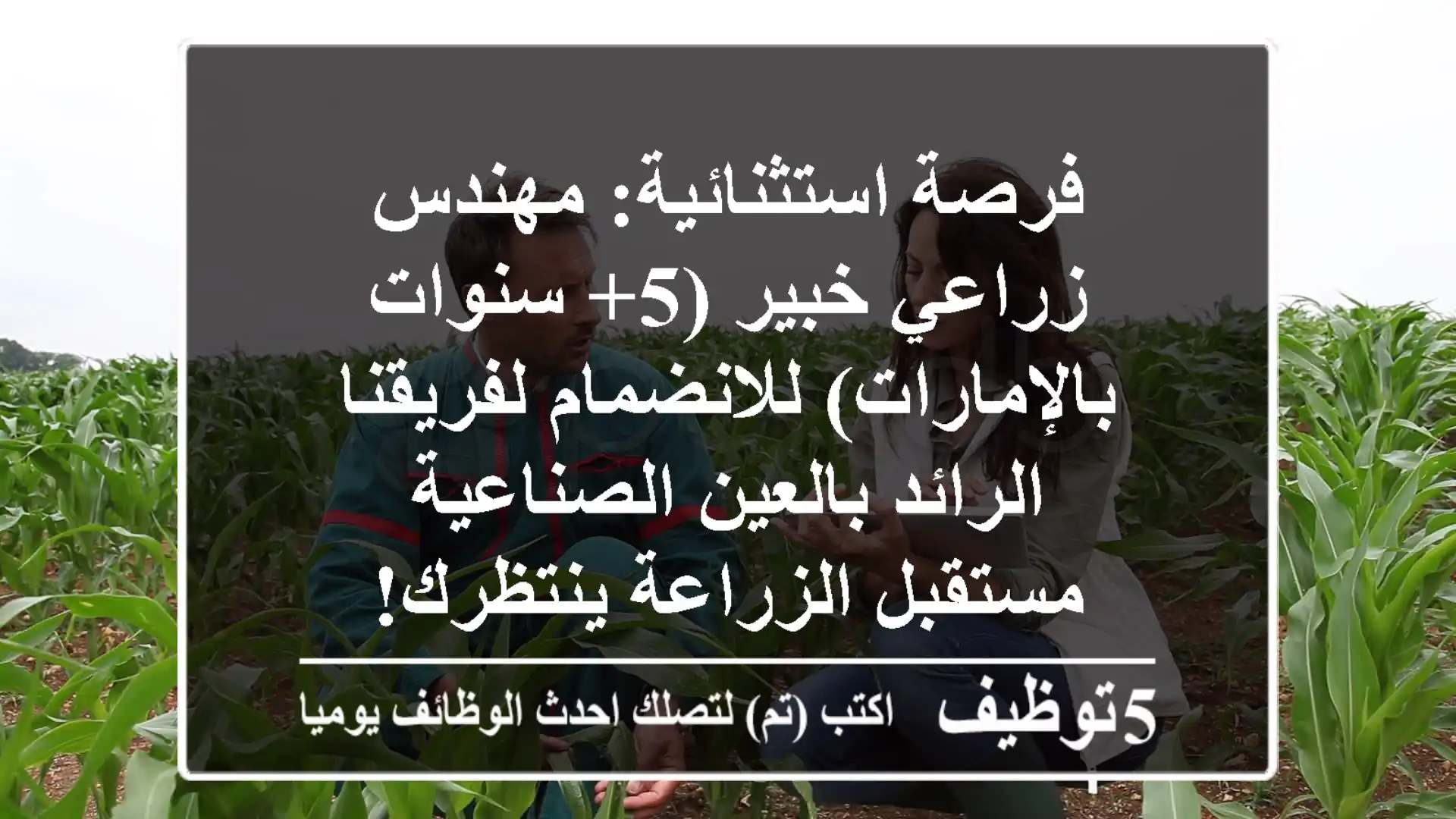فرصة استثنائية: مهندس زراعي خبير (5+ سنوات بالإمارات) للانضمام لفريقنا الرائد بالعين الصناعية - مستقبل الزراعة ينتظرك!