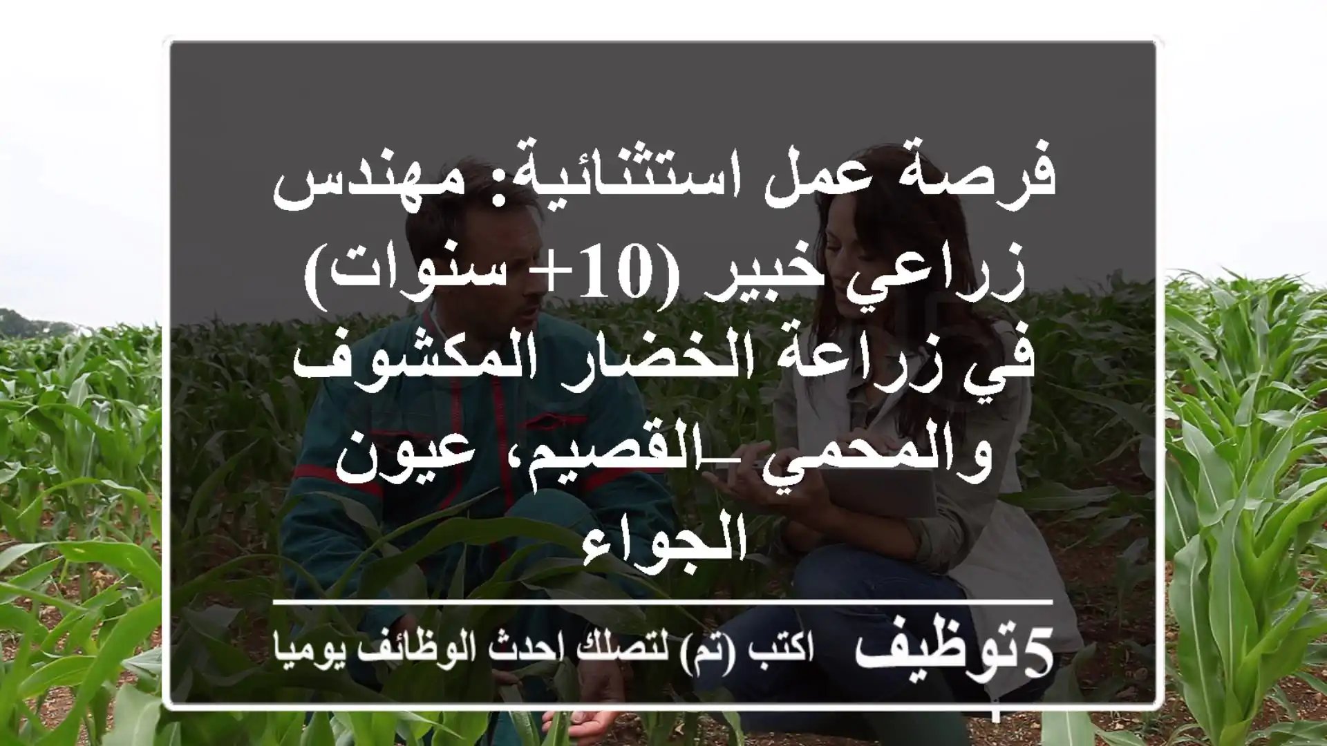 فرصة عمل استثنائية: مهندس زراعي خبير (10+ سنوات) في زراعة الخضار المكشوف والمحمي – القصيم، عيون الجواء
