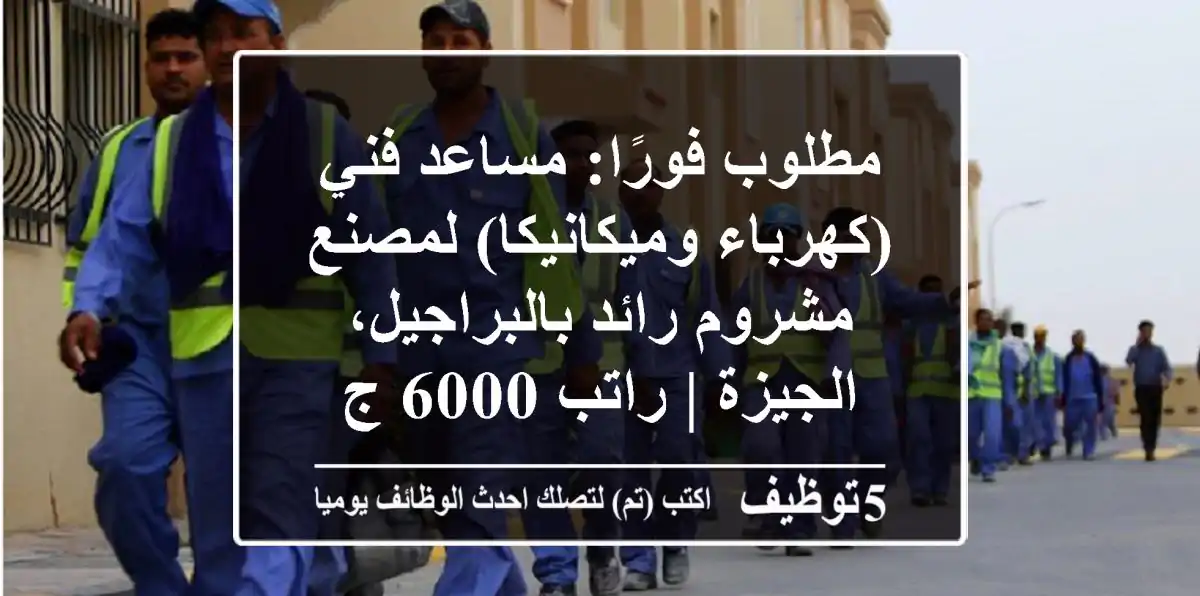 مطلوب فورًا: مساعد فني (كهرباء وميكانيكا) لمصنع مشروم رائد بالبراجيل، الجيزة | راتب 6000 ج