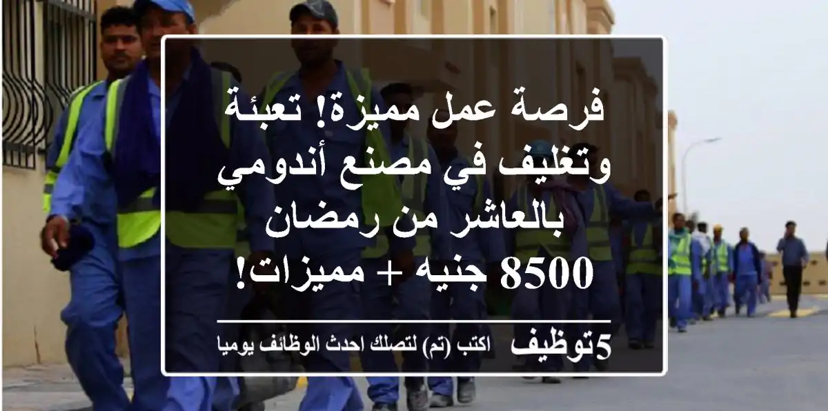 فرصة عمل مميزة! تعبئة وتغليف في مصنع أندومي بالعاشر من رمضان - 8500 جنيه + مميزات!