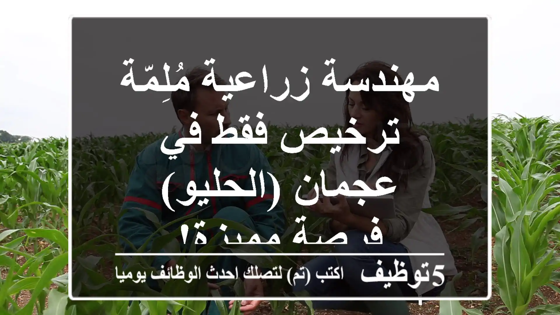 مهندسة زراعية مُلِمّة - ترخيص فقط في عجمان (الحليو) - فرصة مميزة!