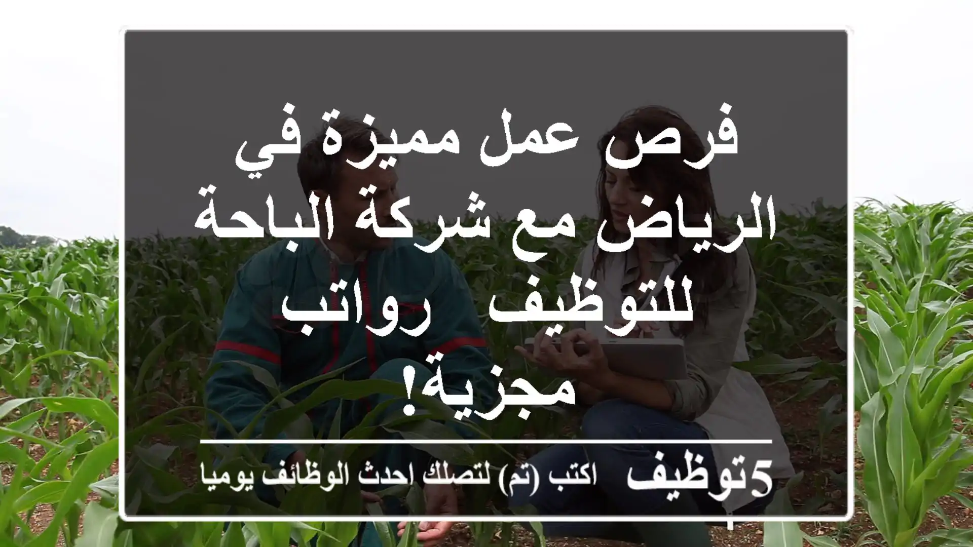 فرص عمل مميزة في الرياض مع شركة الباحة للتوظيف - رواتب مجزية!