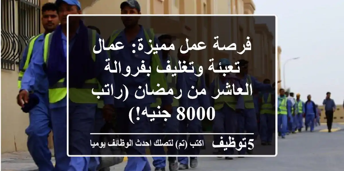 فرصة عمل مميزة: عمال تعبئة وتغليف بفروالة العاشر من رمضان (راتب 8000 جنيه!)