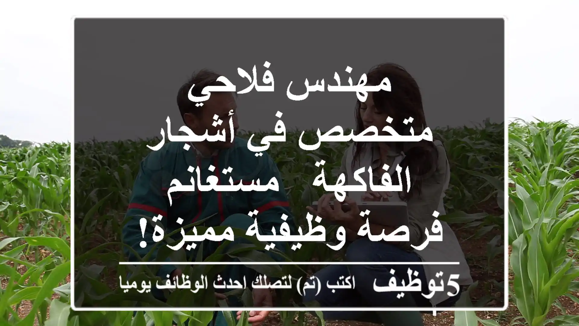 مهندس فلاحي متخصص في أشجار الفاكهة - مستغانم - فرصة وظيفية مميزة!
