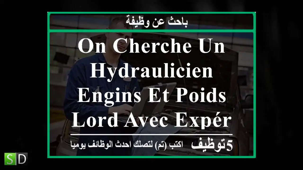 on cherche un hydraulicien engins et poids lord avec expérience.