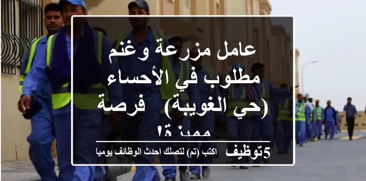 عامل مزرعة وغنم مطلوب في الأحساء (حي الغويبة) - فرصة مميزة!