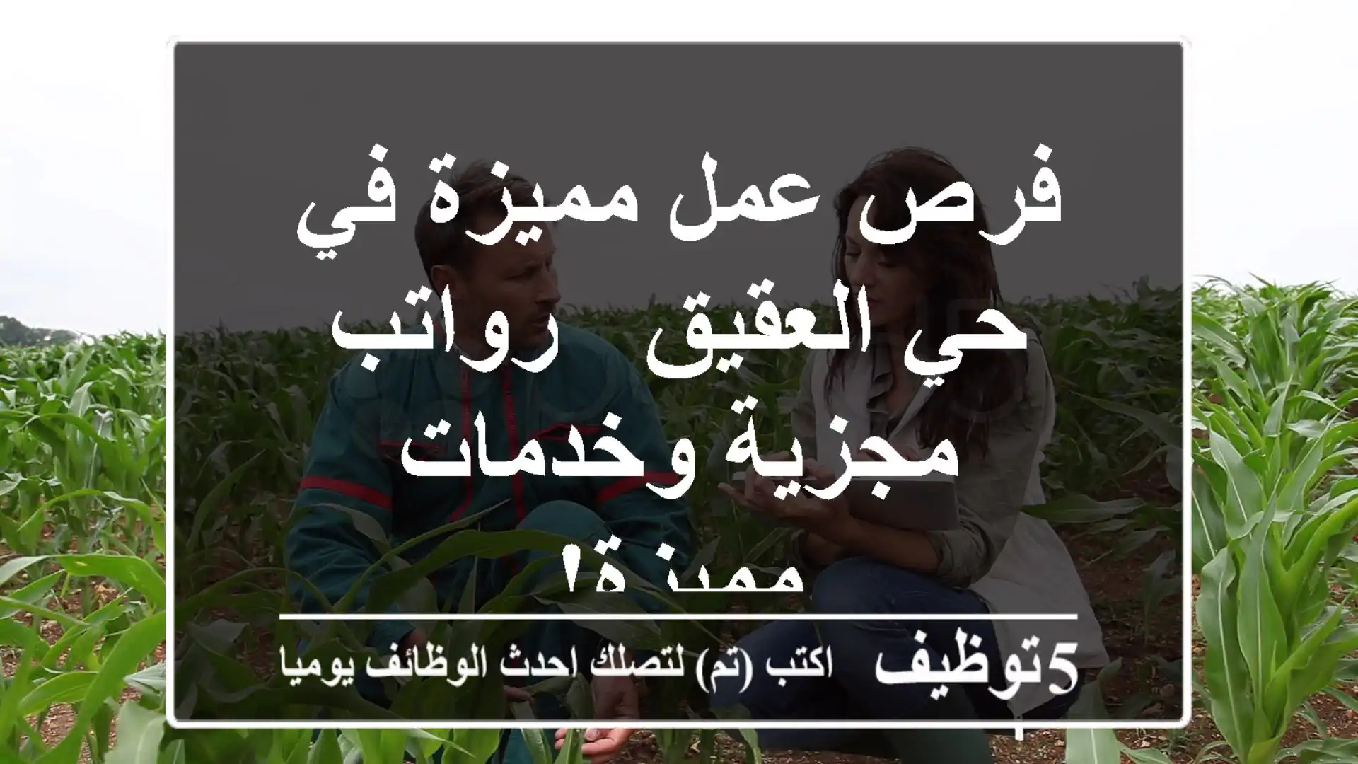 فرص عمل مميزة في حي العقيق - رواتب مجزية وخدمات مميزة!
