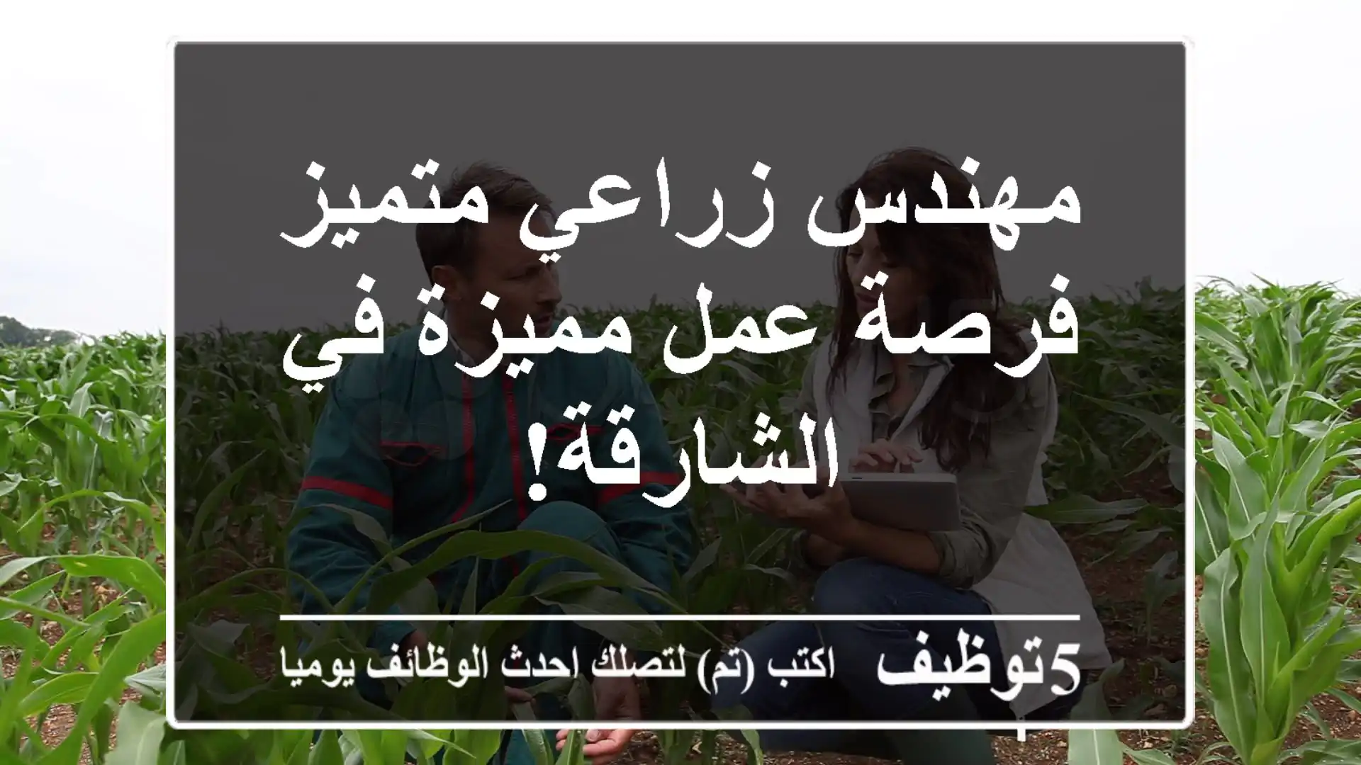 مهندس زراعي متميز - فرصة عمل مميزة في الشارقة!