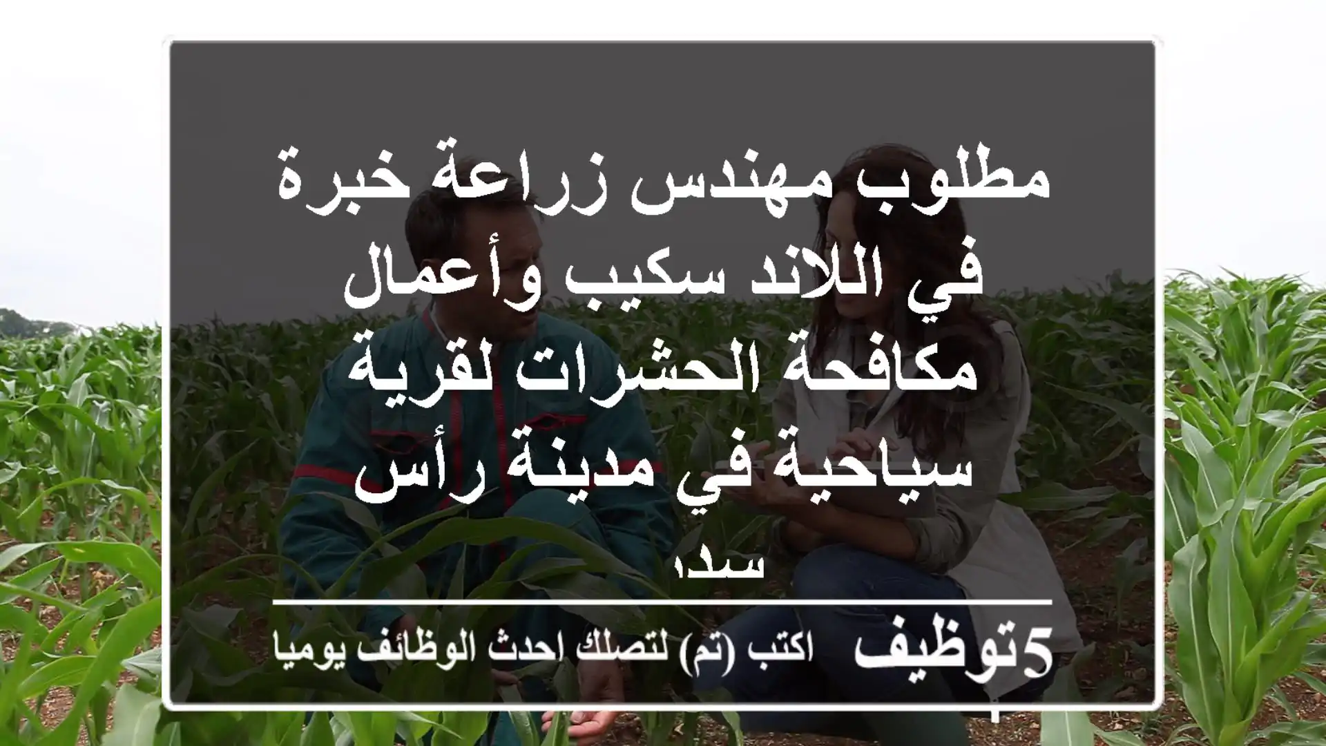 مطلوب مهندس زراعة خبرة في اللاند سكيب وأعمال مكافحة الحشرات لقرية سياحية في مدينة رأس سدر ...