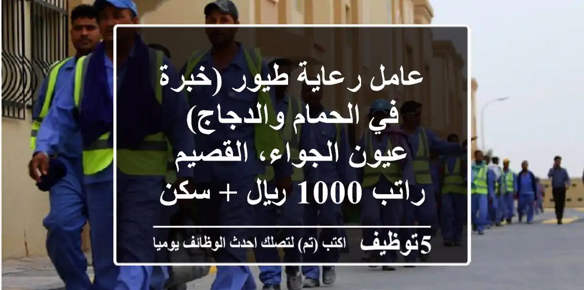عامل رعاية طيور (خبرة في الحمام والدجاج) - عيون الجواء، القصيم - راتب 1000 ريال + سكن