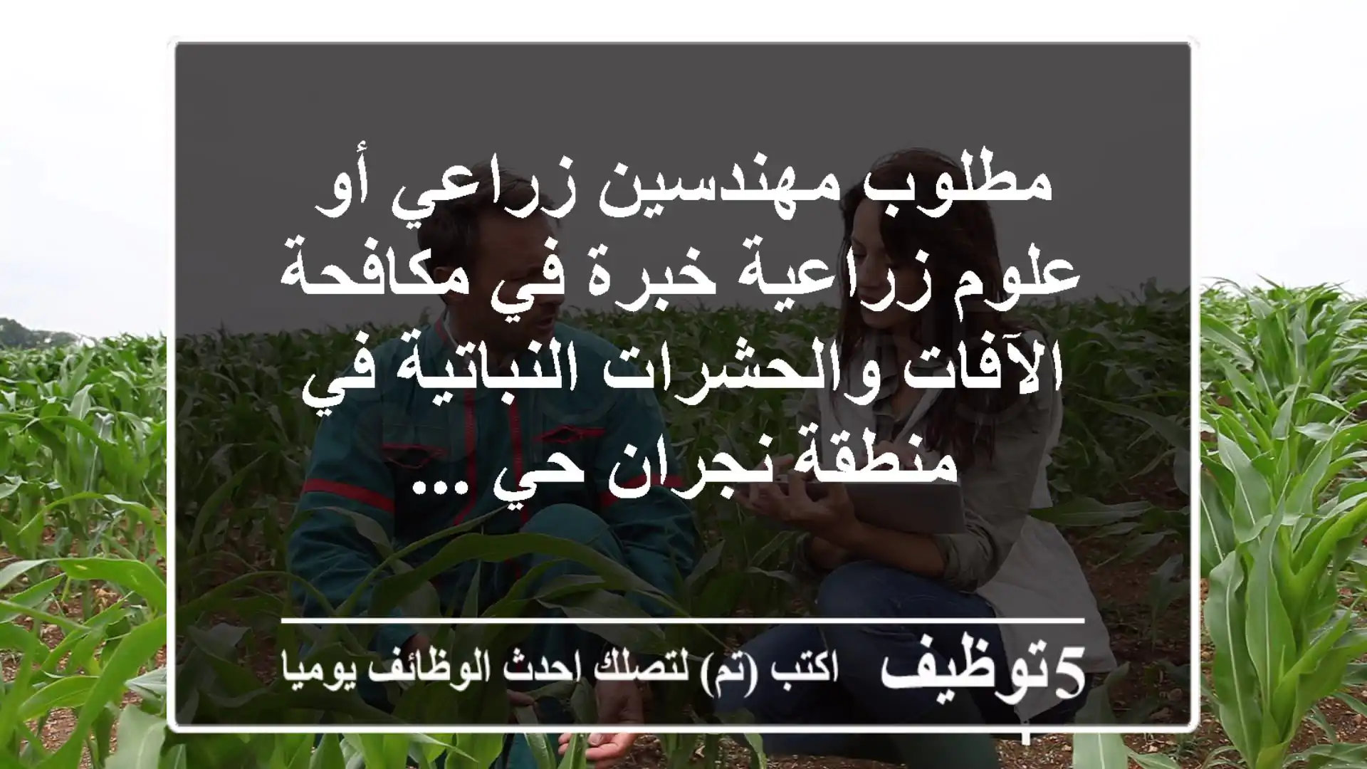 مطلوب مهندسين زراعي أو علوم زراعية خبرة في مكافحة الآفات والحشرات النباتية في منطقة نجران حي ...