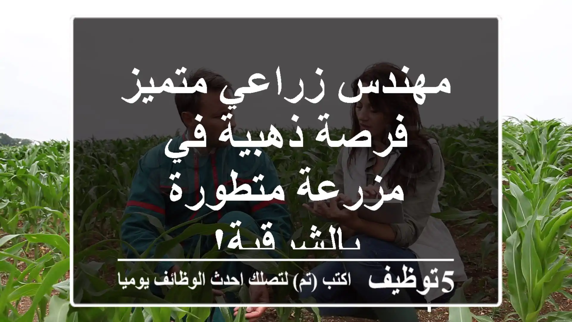 مهندس زراعي متميز - فرصة ذهبية في مزرعة متطورة بالشرقية!