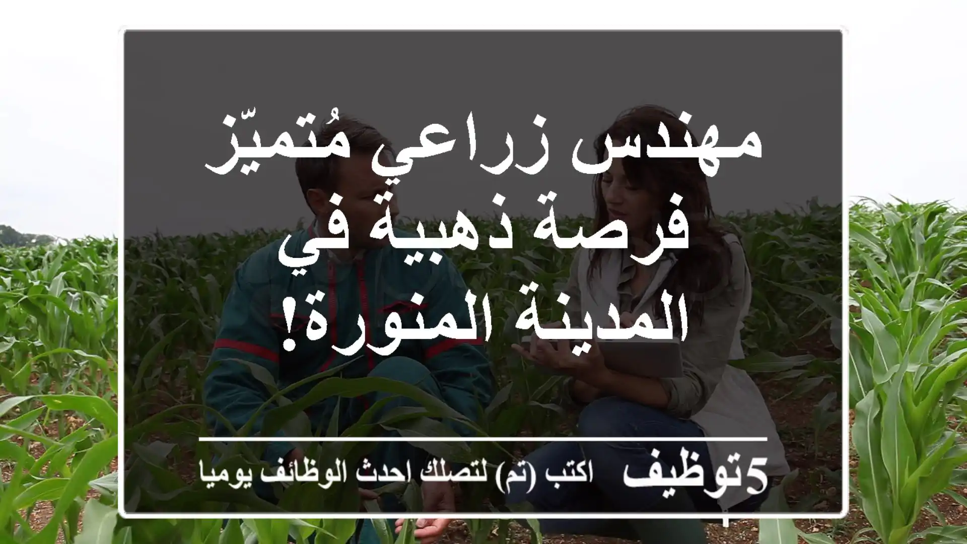 مهندس زراعي مُتميّز - فرصة ذهبية في المدينة المنورة!