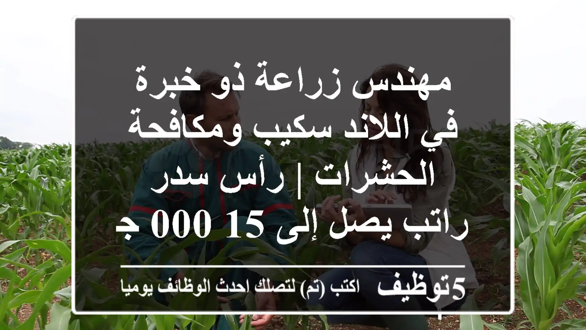 مهندس زراعة ذو خبرة في اللاند سكيب ومكافحة الحشرات | رأس سدر - راتب يصل إلى 15,000 جنيه!