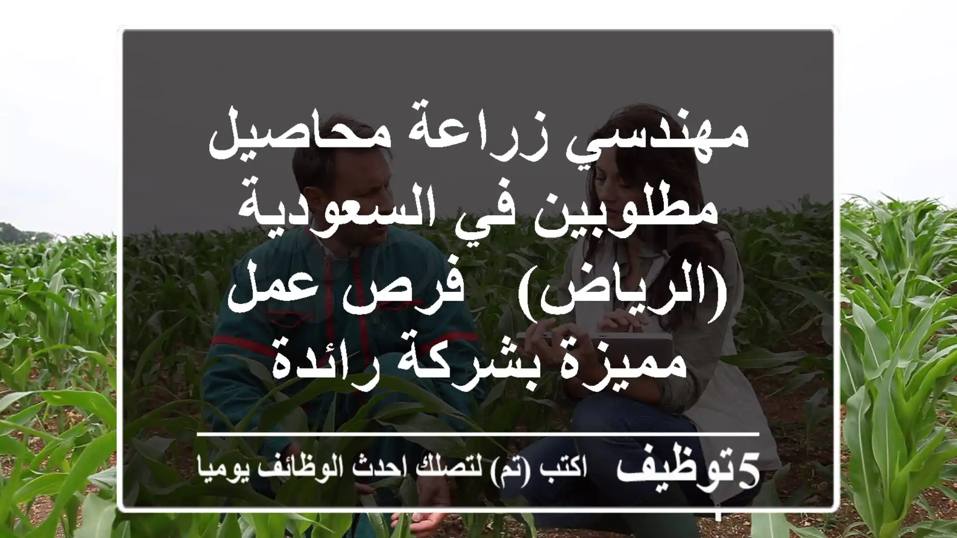 مهندسي زراعة محاصيل مطلوبين في السعودية (الرياض) - فرص عمل مميزة بشركة رائدة