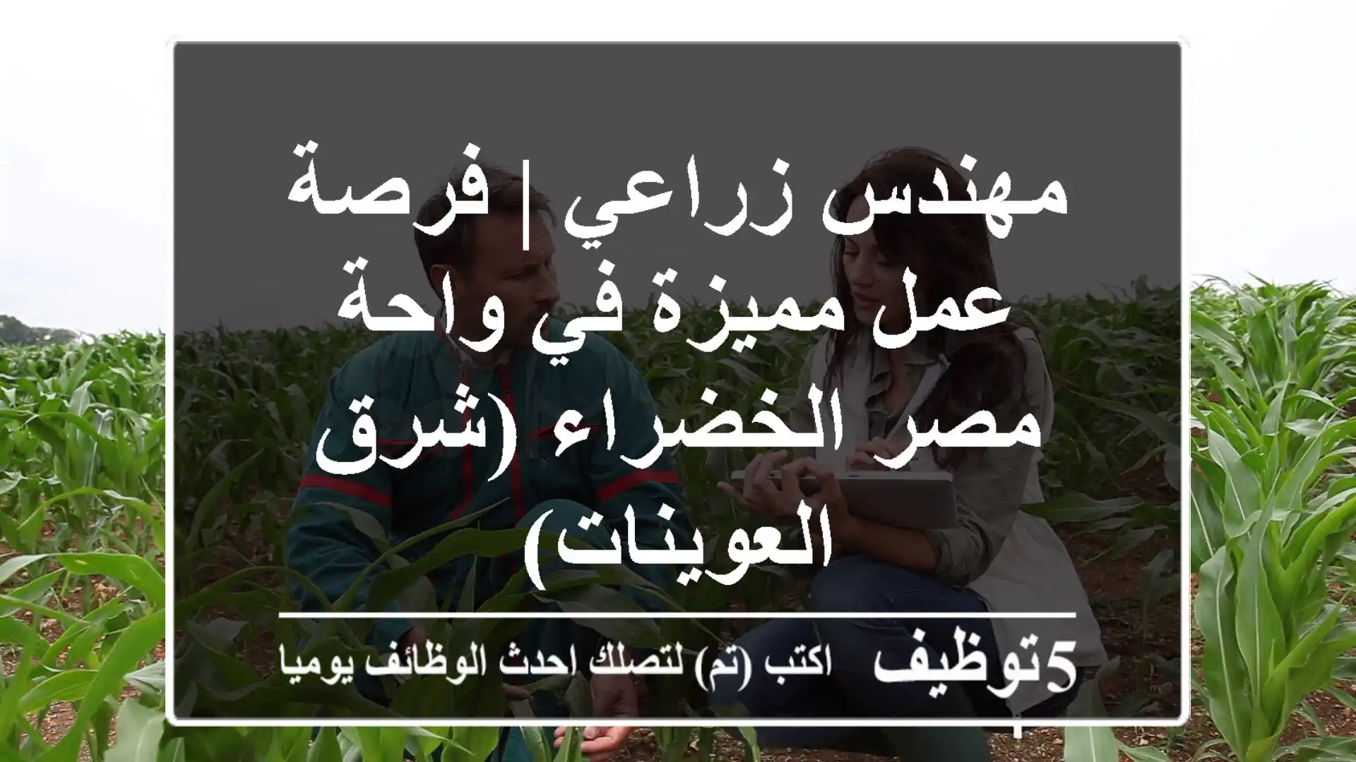 مهندس زراعي | فرصة عمل مميزة في واحة مصر الخضراء (شرق العوينات)