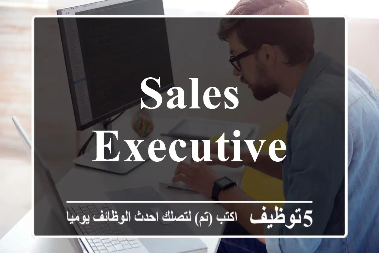 Sales Executive