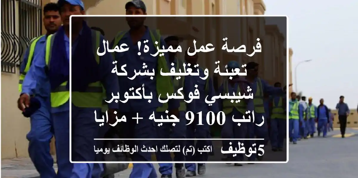 فرصة عمل مميزة! عمال تعبئة وتغليف بشركة شيبسي فوكس بأكتوبر - راتب 9100 جنيه + مزايا!