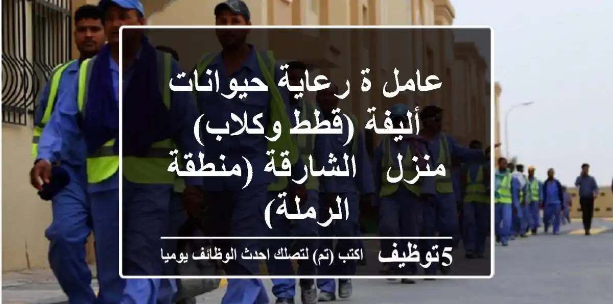 عامل/ة رعاية حيوانات أليفة (قطط وكلاب) - منزل - الشارقة (منطقة الرملة)