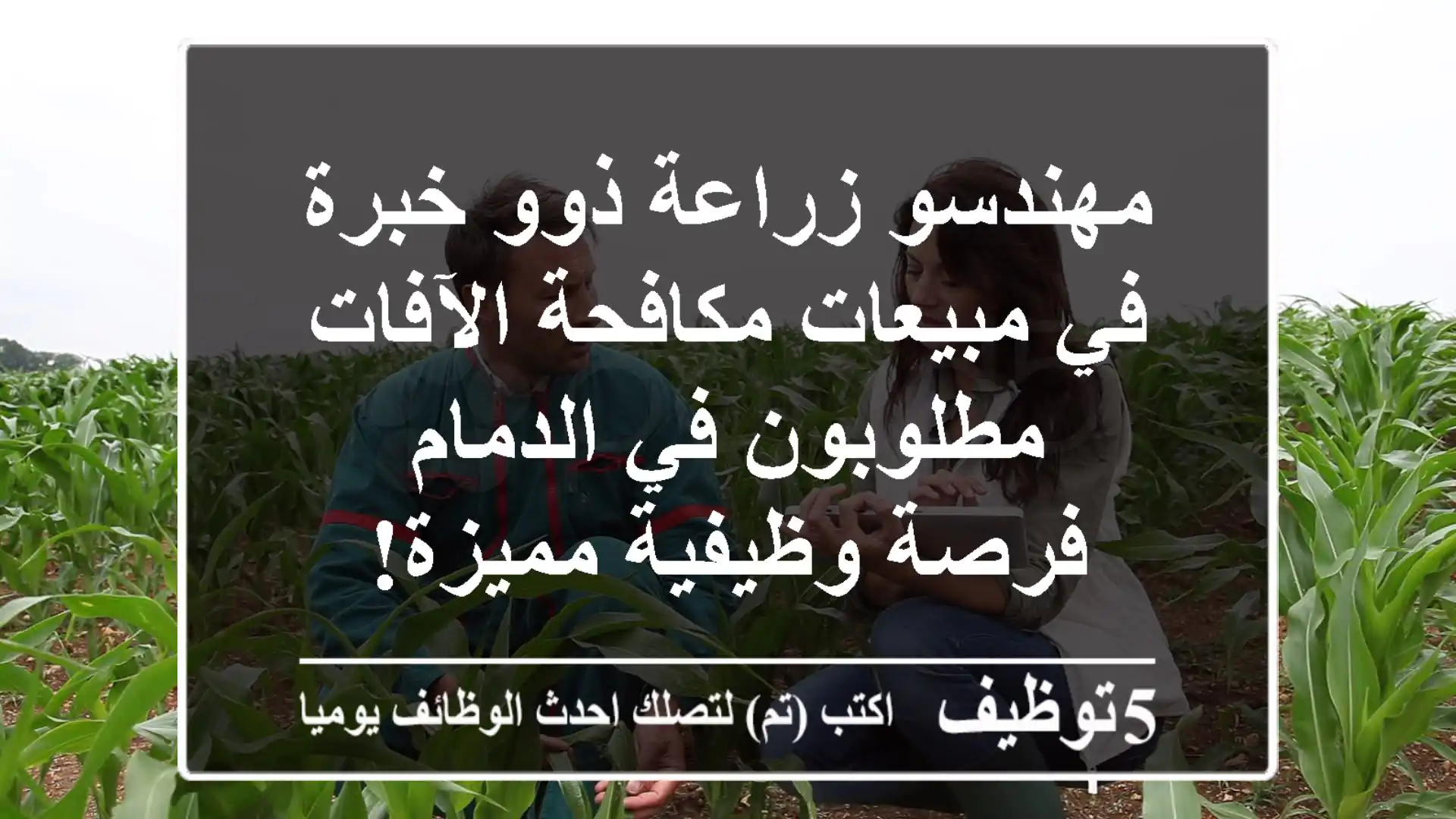 مهندسو زراعة ذوو خبرة في مبيعات مكافحة الآفات مطلوبون في الدمام - فرصة وظيفية مميزة!