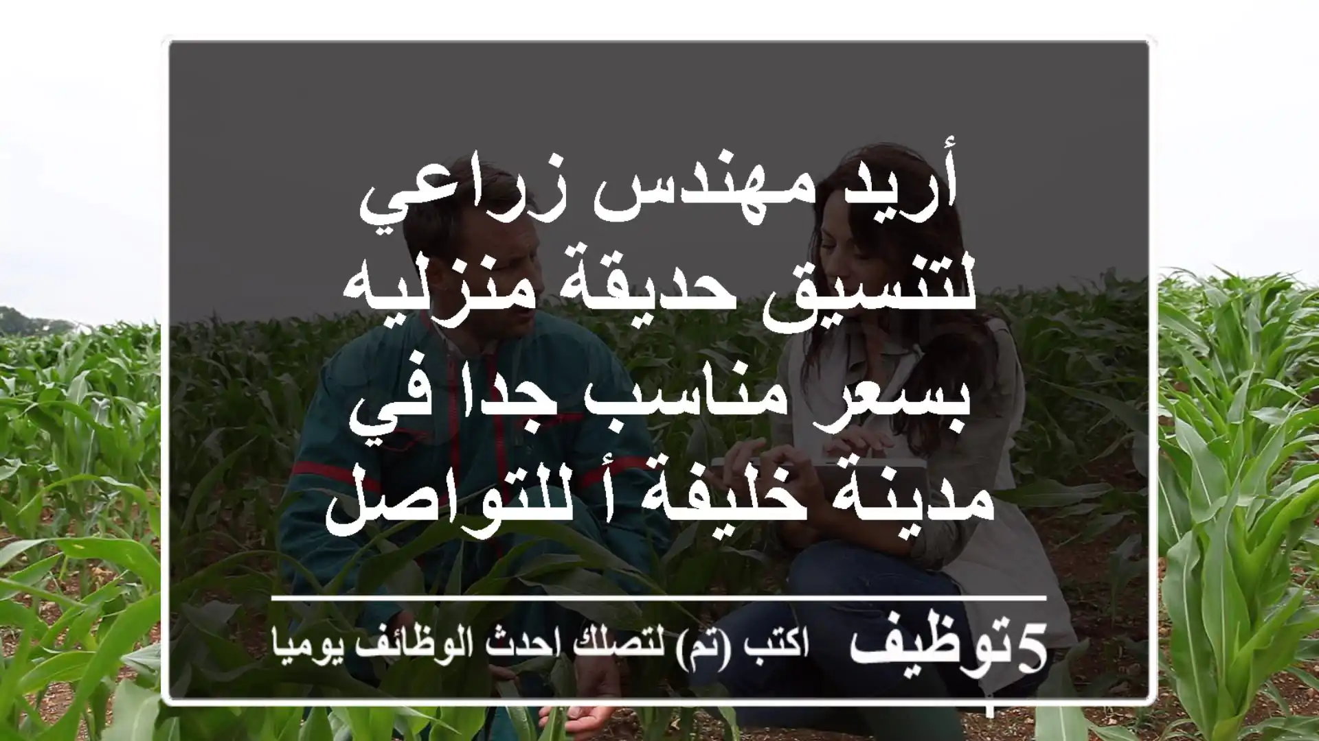 أريد مهندس زراعي لتنسيق حديقة منزليه بسعر مناسب جدا في مدينة خليفة أ للتواصل