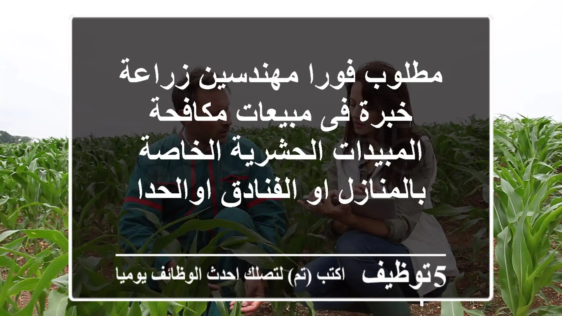 مطلوب فورا مهندسين زراعة خبرة فى مبيعات مكافحة المبيدات الحشرية الخاصة بالمنازل او الفنادق اوالحدا