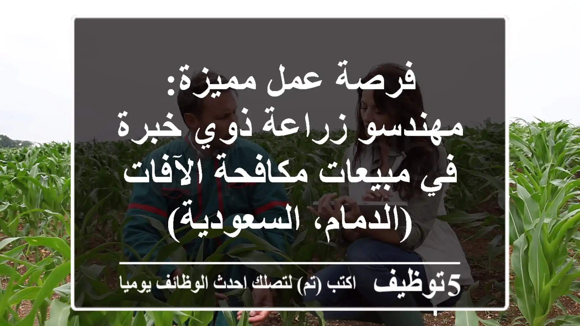 فرصة عمل مميزة: مهندسو زراعة ذوي خبرة في مبيعات مكافحة الآفات (الدمام، السعودية)