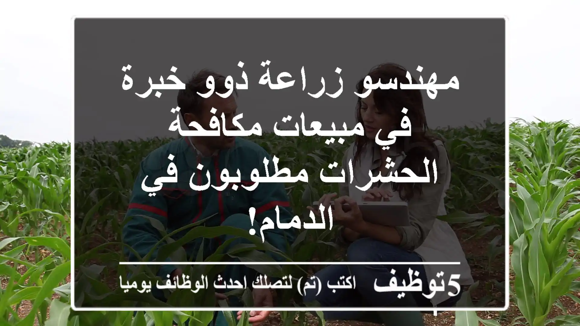 مهندسو زراعة ذوو خبرة في مبيعات مكافحة الحشرات مطلوبون في الدمام!