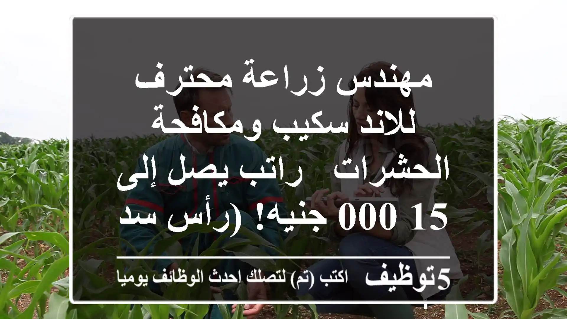 مهندس زراعة محترف للاند سكيب ومكافحة الحشرات - راتب يصل إلى 15,000 جنيه! (رأس سدر)
