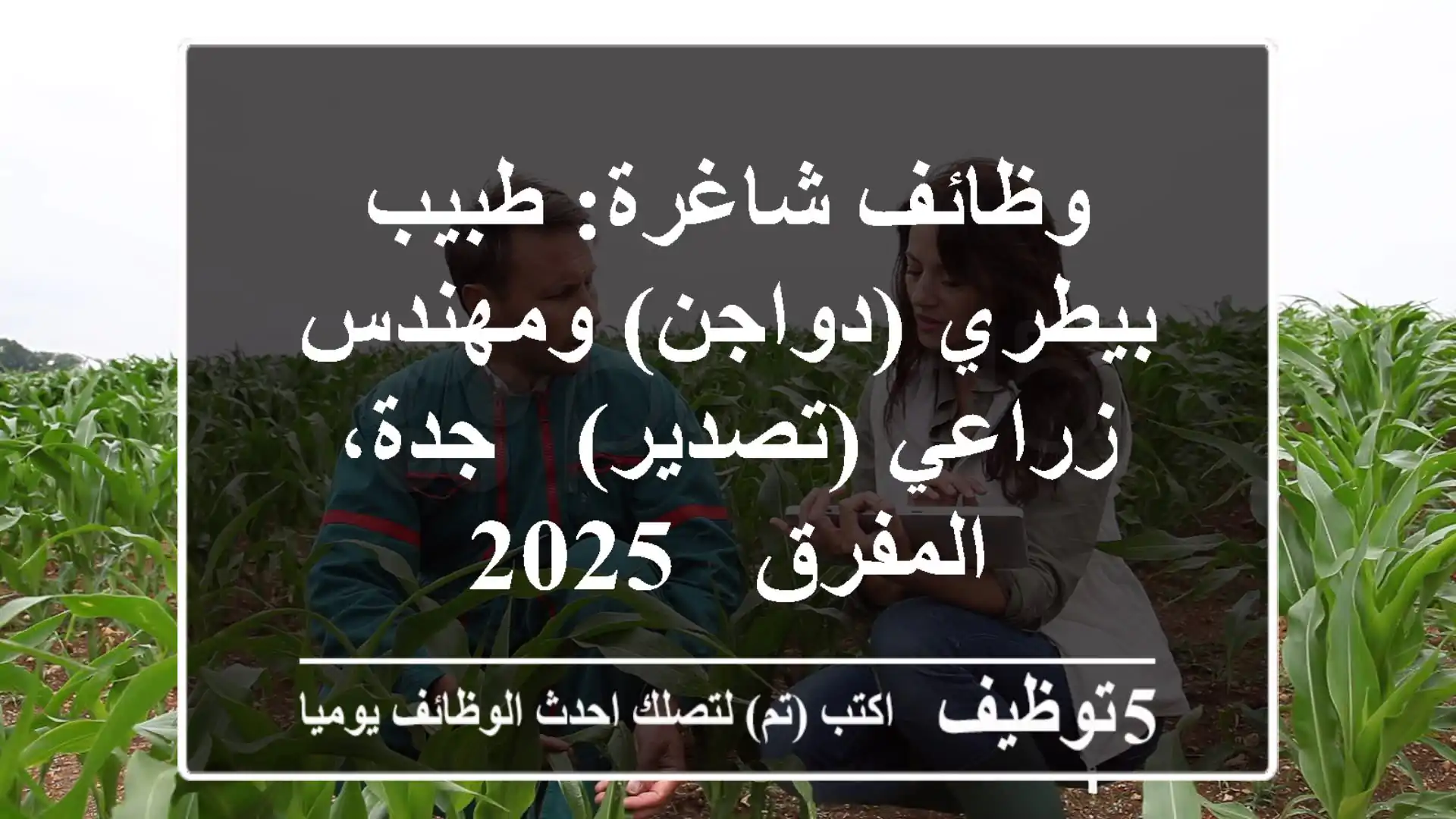 وظائف شاغرة: طبيب بيطري (دواجن) ومهندس زراعي (تصدير) - جدة، المفرق - 2025