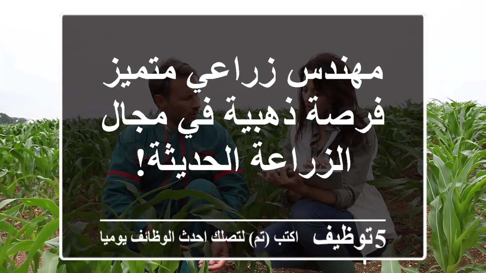 مهندس زراعي متميز - فرصة ذهبية في مجال الزراعة الحديثة!