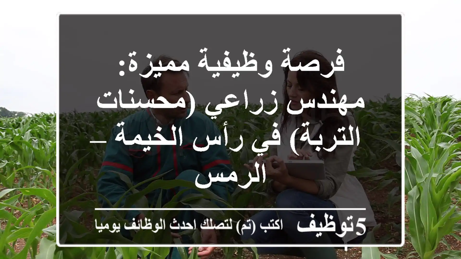 فرصة وظيفية مميزة: مهندس زراعي (محسنات التربة) في رأس الخيمة – الرمس