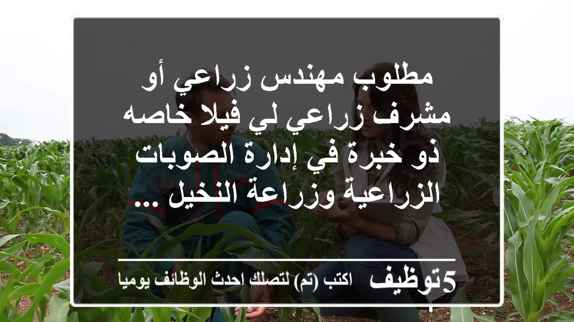 مطلوب مهندس زراعي أو مشرف زراعي لي فيلا خاصه ذو خبرة في إدارة الصوبات الزراعية وزراعة النخيل ...